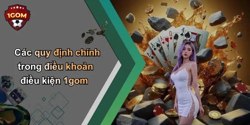 Các quy định chính trong điều khoản điều kiện 1gom