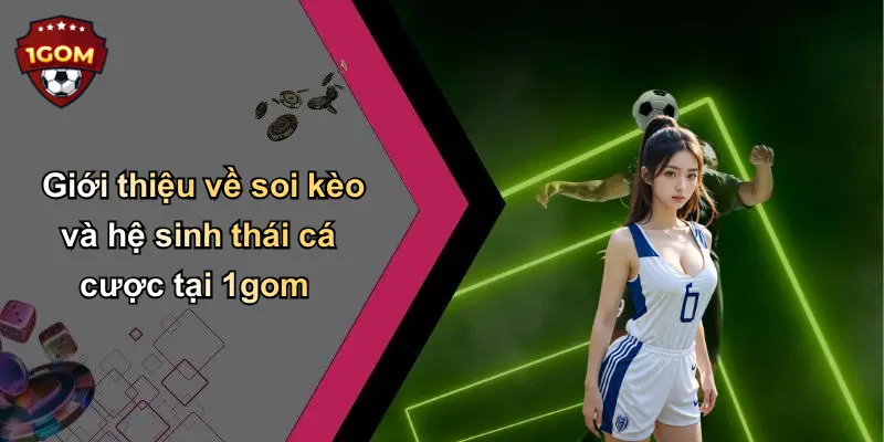 Giới thiệu về soi kèo và hệ sinh thái cá cược tại 1gom
