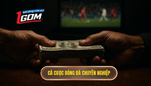 Thumb Cá Cược Bóng đá Chuyên Nghiệp