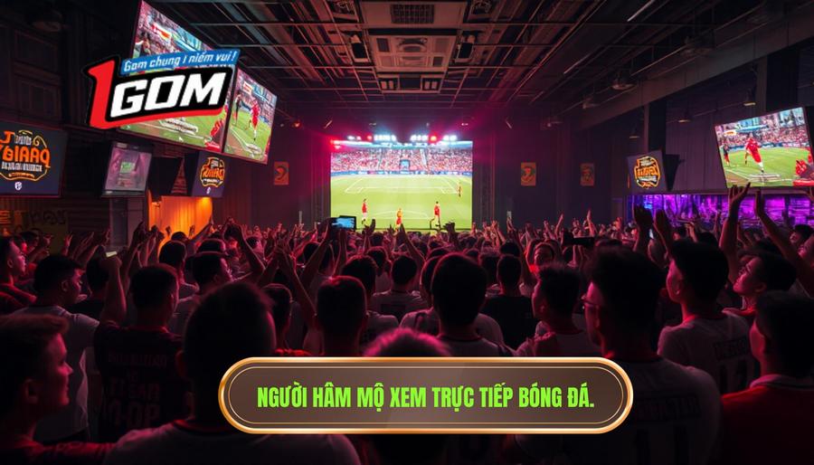 Tại sao nhu cầu xem trực tiếp bóng đá Việt Nam hôm nay ngày càng tăng cao?