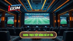 Trực tiếp bóng đá Việt Nam hôm nay