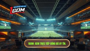Xem trực tiếp bóng đá ở đâu tốt nhất